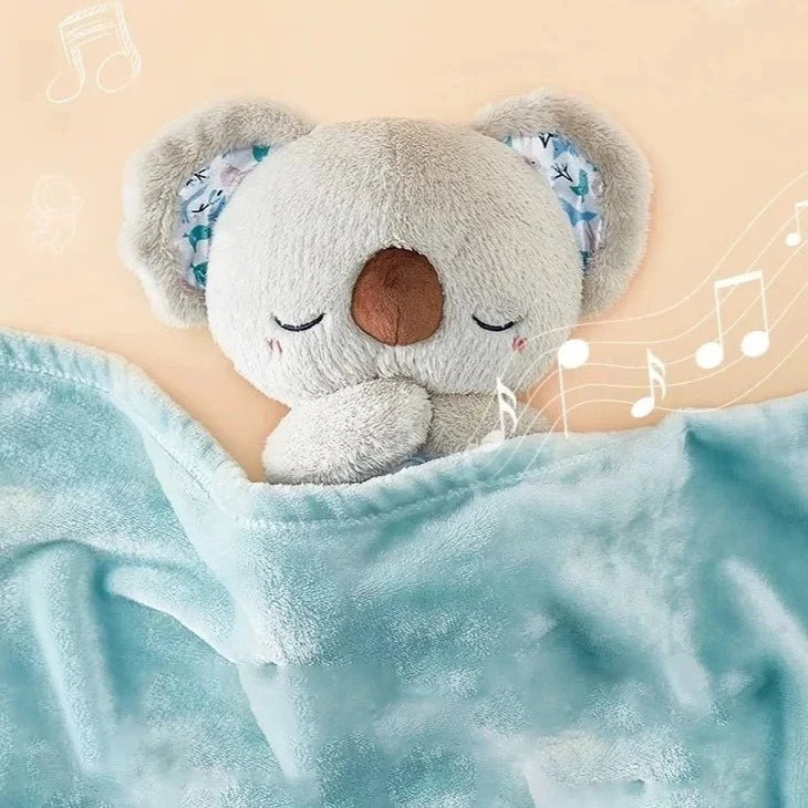 Le KoalaBear Relief - Vela Vici 🇫🇷